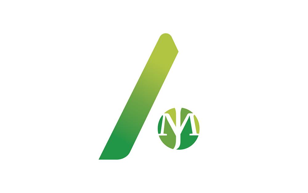 AGIS logo expertise comptable Amandine graphiste Lyon zeste de créa